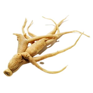 Ashwagandha root for micro-dose magic mushrooms