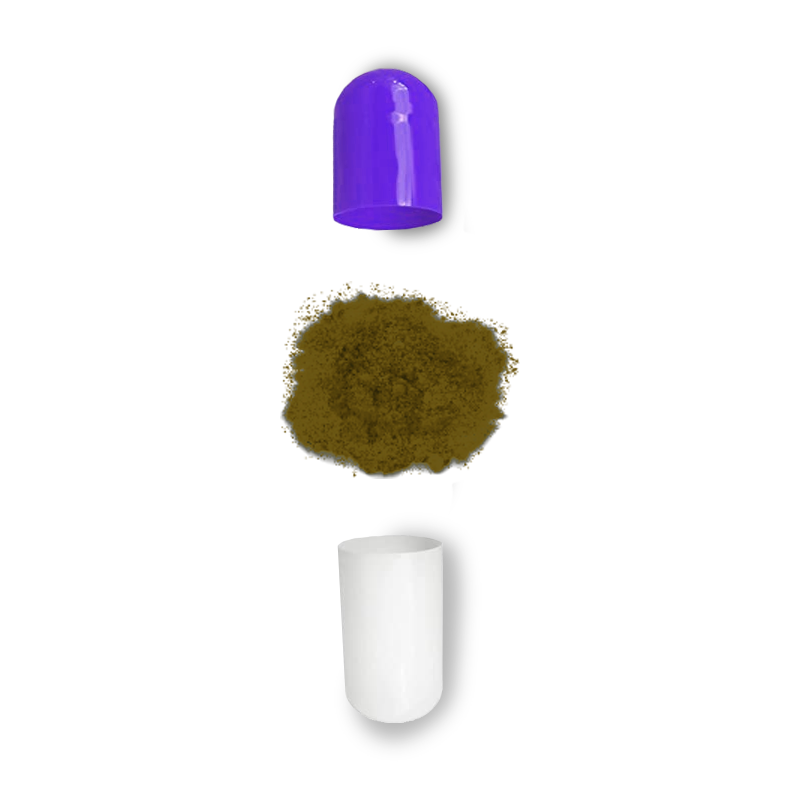 Calm Micro-dose Capsules Magic Mushroom