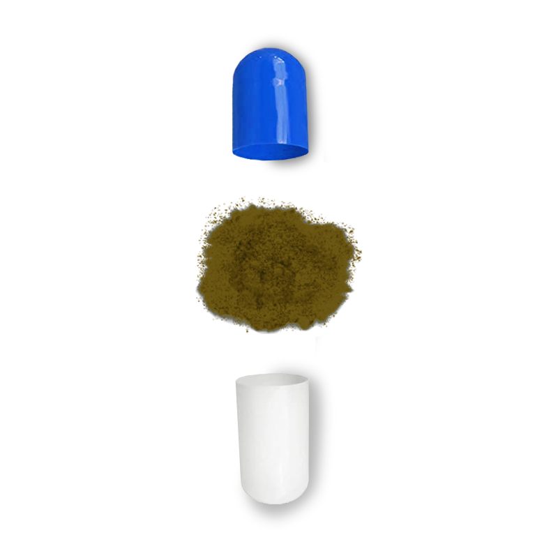 Reset Micro-dose Capsules Magic Mushroom